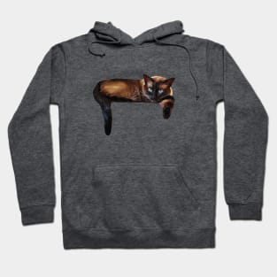 Siamese Cat Kitten Laying Down Hoodie